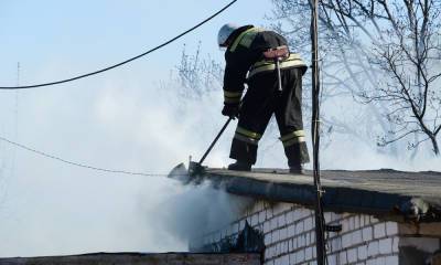 В Петрозаводске на пожаре в гараже погибли 150 птиц