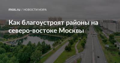 Как благоустроят районы на северо-востоке Москвы