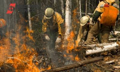 К тушению лесных пожаров в Омской области привлекли десантников