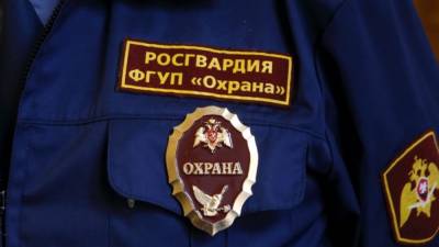 СМИ: "Справедливая Россия" предложит привлечь Росгвардию к охране школ