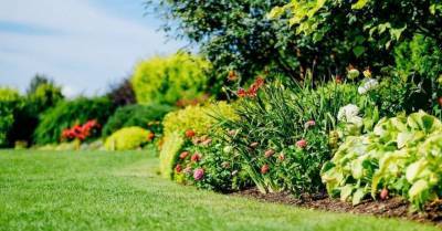 Садовые курсы в мае: полезные лекции и профессиональные курсы