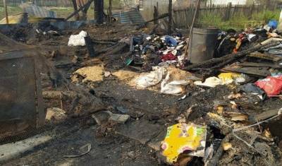 Под Екатеринбургом сгорел приют для животных: погибли 30 собак