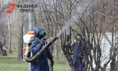 В Иркутске от горностаевой моли обработают 60 тысяч деревьев