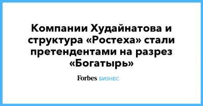 Компании Худайнатова и структура «Ростеха» стали претендентами на разрез «Богатырь»