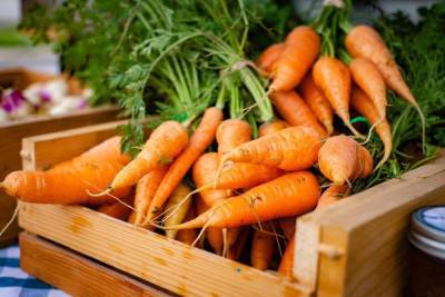 Врач развеял «морковный» миф о восстановлении зрения