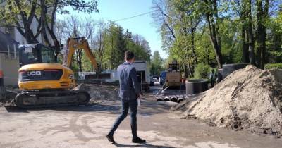 При реконструкции Катина в Калининграде вырубят 290 деревьев