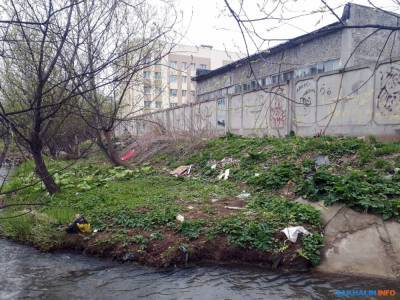 Ручей Пригородный в Южно-Сахалинске зарос мусором