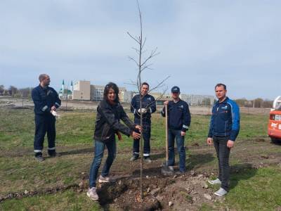 В Ульяновске «Архбум» помог высадить «Сад памяти»