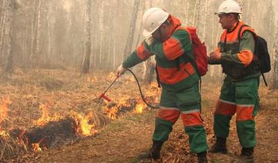 За сутки в Тюменской области зарегистрировали 8 лесных пожаров