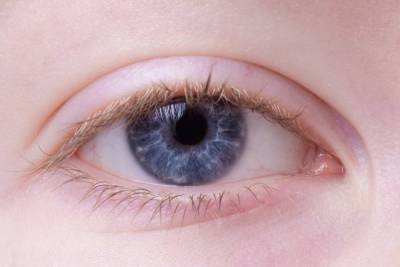 Офтальмолог развеял миф о восстановлении зрения с помощью черники
