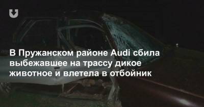 В Пружанском районе Audi сбила выбежавшее на трассу дикое животное и влетела в отбойник