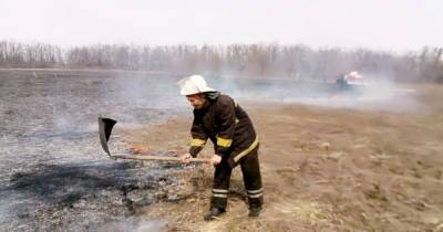 ГСЧС объявила чрезвычайную пожарную опасность в большинстве регионов Украины