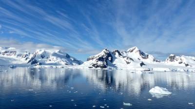Китай проявил интерес к проекту арктической станции "Снежинка"