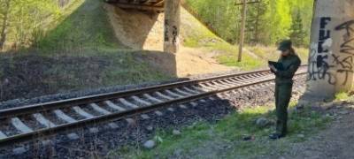 В Челябинской области поезд насмерть сбил мужчину