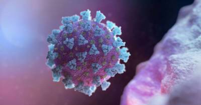 В ВСУ зафиксировали 88-й летальный случай от осложнений коронавируса