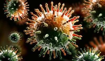 Ученые выяснили, как коронавирус обманывает иммунитет человека