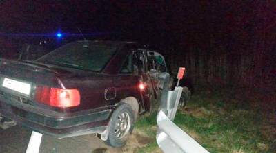 В Пружанском районе легковушка сбила дикое животное - пострадали водитель и пассажир