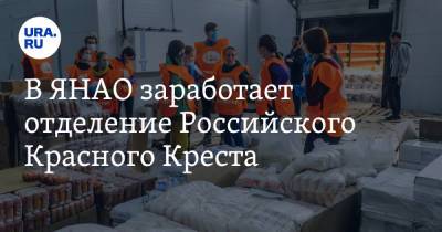 В ЯНАО заработает отделение Российского Красного Креста