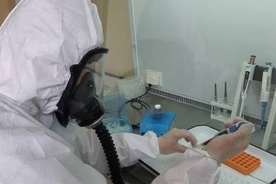 Еще четверо новосибирцев скончались от коронавируса