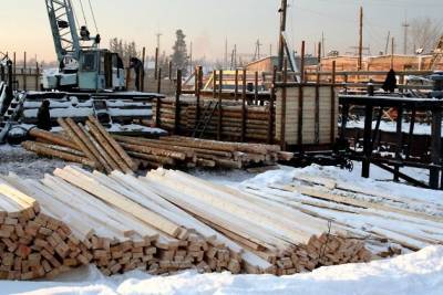 Правительство России не рассматривает отмену запрета на экспорт леса — Трутнев