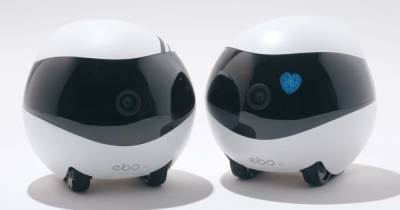 Даже если вы далеко: робот Ebo способен создавать "эффект присутствия" во время видеозвонков (видео)