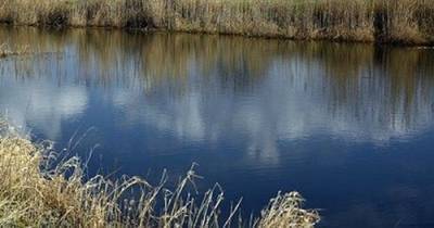 В реке под Нижним Новгородом нашли тело пропавшего накануне мальчика