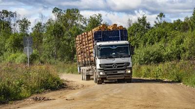 В правительстве России прокомментировали меры контроля за экспортом леса