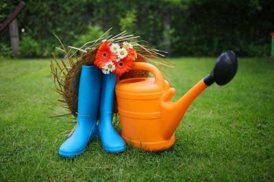 Названы три основные проблемы садоводческих товариществ