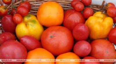 Россельхознадзор разрешил поставки томатов и перцев с двух белорусских предприятий