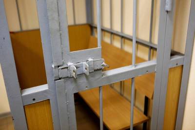 Петербургский суд арестовал пару, задержанную за истязание дочери