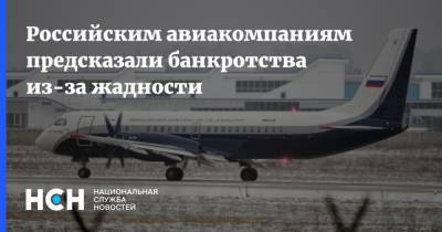 Российским авиакомпаниям предсказали банкротства из-за жадности