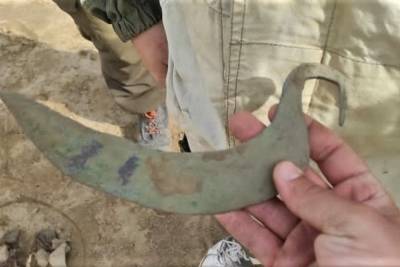 На раскопках в Темрюкском районе обнаружили древний бронзовый серп
