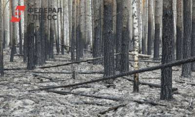 Глава Юргинского района рассказал о лесных пожарах: «Угрозы жителям нет»