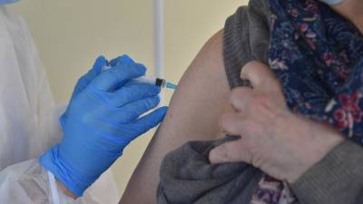 Гинцбург назвал условие начала вакцинации пожилых людей «Спутником Лайт»