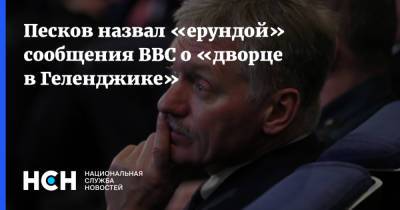 Песков назвал «ерундой» сообщения ВВС о «дворце в Геленджике»