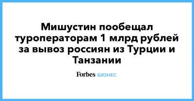 Мишустин пообещал туроператорам 1 млрд рублей за вывоз россиян из Турции и Танзании