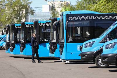 В Москве коммерческие перевозчики выходят на автобусные маршруты