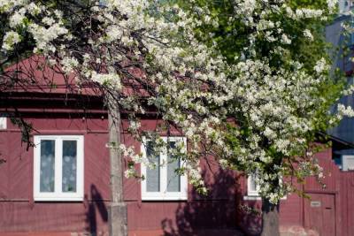 14 мая в Рязанской области ожидаются грозы и до +26 градусов