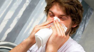 Названы отличия простуды от аллергии
