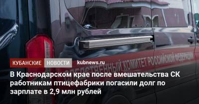 В Краснодарском крае после вмешательства СК работникам птицефабрики погасили долг по зарплате в 2,9 млн рублей