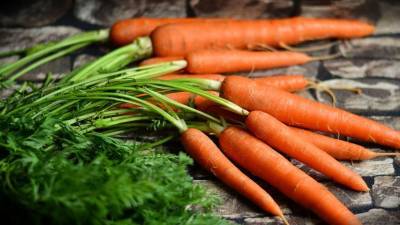 Врач рассказал, может ли употребление черники и моркови улучшить зрение