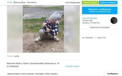 Детский омбудсмен проверила объявление на Avito о продаже ребёнка в Брянске