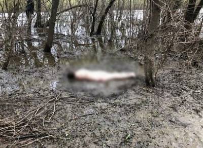 Следователи сообщили о появлении племянника рязанки, обнаженный труп которой нашли в Лесопарке