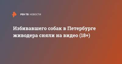 Избивавшего собак в Петербурге живодера сняли на видео (18+)