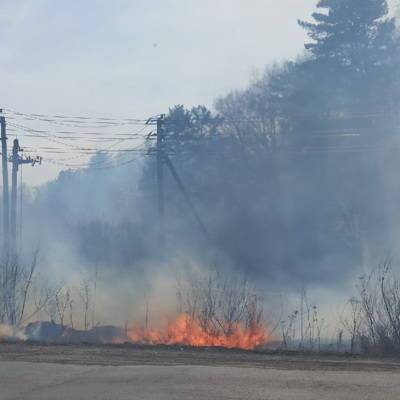 В Юргинском районе действует один лесной пожар возле села Новый Тап