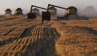 СовЭкон повысил прогноз урожая пшеницы в РФ в 21г до 81,7 млн т