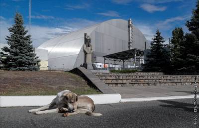 Украинский ядерный центр счел контролируемыми процессы под куполом ЧАЭС
