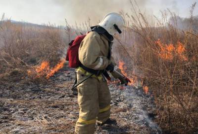 В Ленобласти количество пожаров сократилось по сравнению с прошлым годом