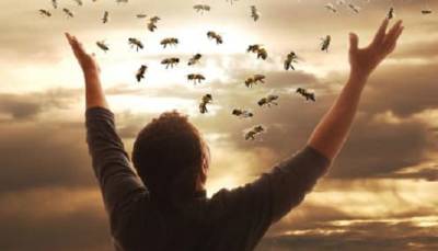 «Укрпочта» показала чудесное «воскресение» пчел (видео)