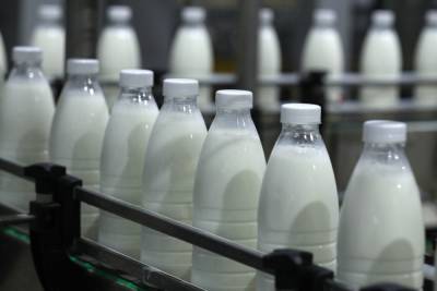Евгений Люлин: «Развитие молочной отрасли должно идти в совокупности с развитием сельских территорий»